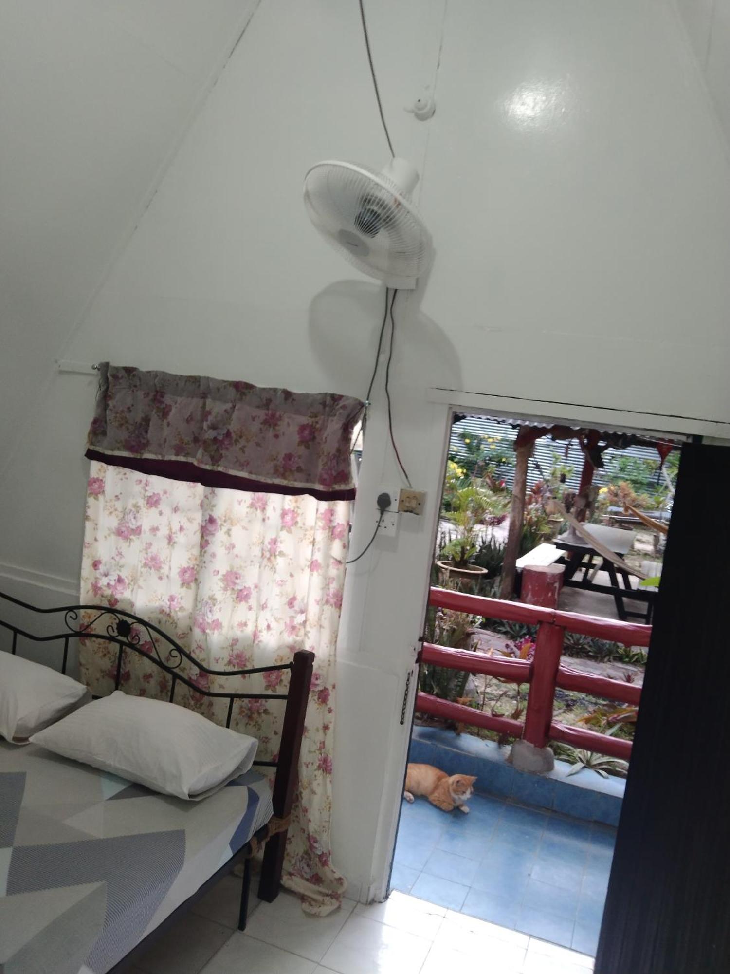Nazri Nipah Camp Pangkor 호텔 캄풍 텔룩 니파 객실 사진
